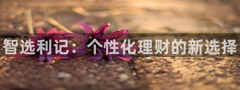 伟德国际19463登录：智选利记：个性化理财的新选择