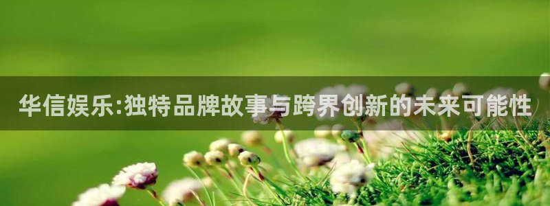 伟德国际1946体育注册代理：华信娱乐:独特品牌故事与跨界创新的未来可能性