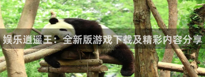 伟德国际1946k：娱乐逍遥王：全新版游戏下载及精彩内容分享