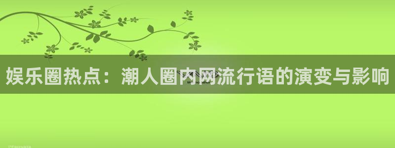 伟德国际19463代理：娱乐圈热点：潮人圈内网流行语的演变与影响