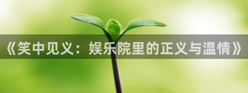 伟德国际1946体育官网入口登录：《笑中见义：娱乐院里的正义与温情》