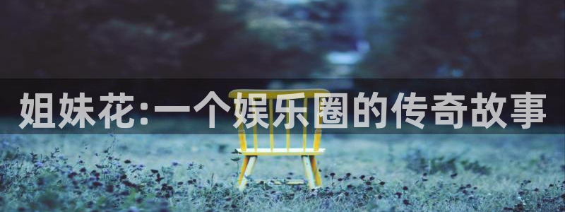 伟德国际1946登陆：姐妹花:一个娱乐圈的传奇故事