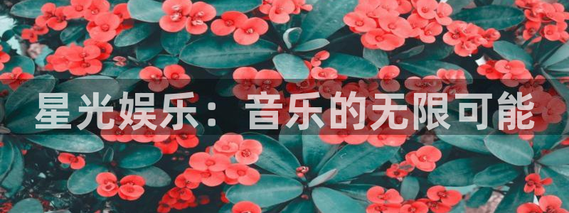 伟德国际1946：星光娱乐：音乐的无限可能