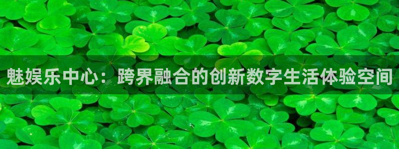 伟德国际1946平台官网：魅娱乐中心：跨界融合的创新数字生活体验空间