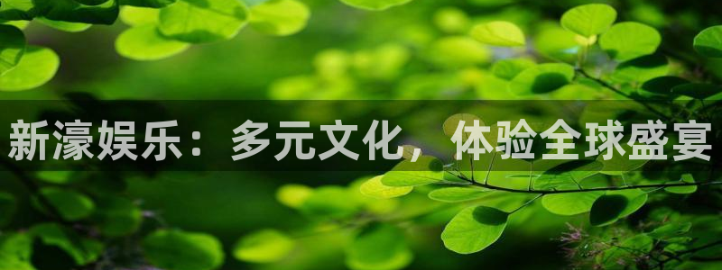 伟德国际19465注册：新濠娱乐：多元文化，体验全球盛宴