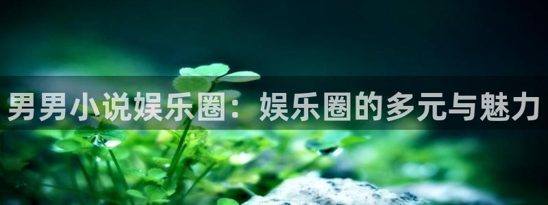 伟德国际1946体育2官网入口：男男小说娱乐圈：娱乐圈的多元与魅力