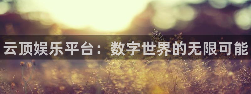 伟德国际1946平台注册入口：云顶娱乐平台：数字世界的无限可能