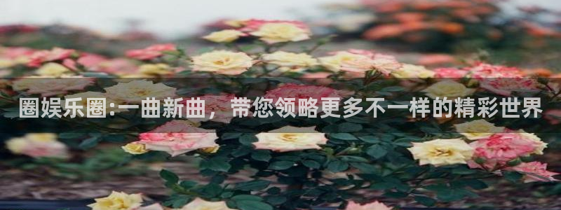 伟德国际1946登陆：圈娱乐圈:一曲新曲，带您领略更多不一样的精彩世界
