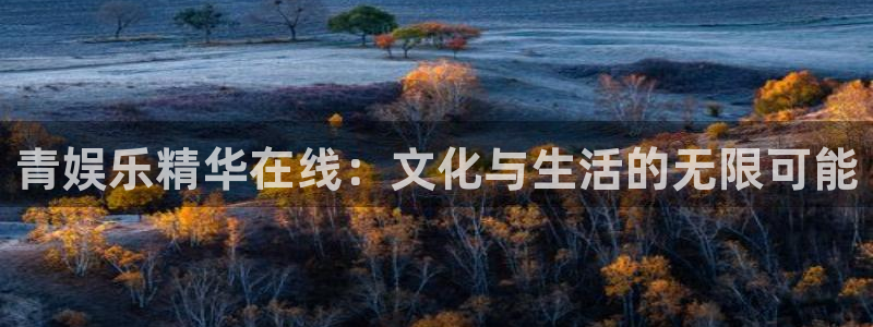 伟德国际19463平台注册：青娱乐精华在线：文化与生活的无限可能