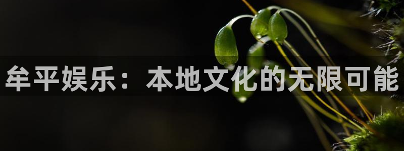 佛山市南海伟德国际1946机电仪器有限公司：牟平娱乐：本地文化的无限可能