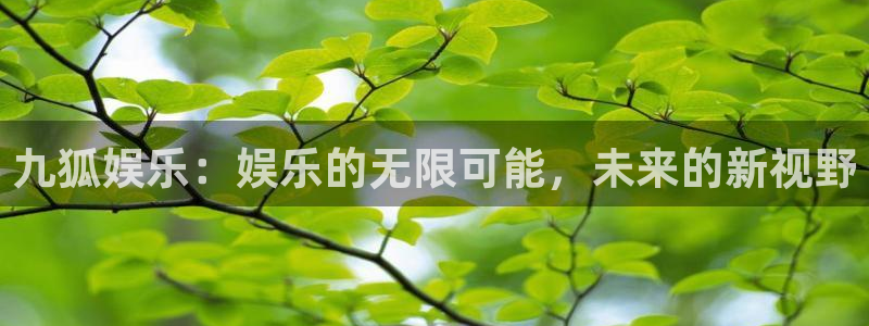伟德国际19464：九狐娱乐：娱乐的无限可能，未来的新视野