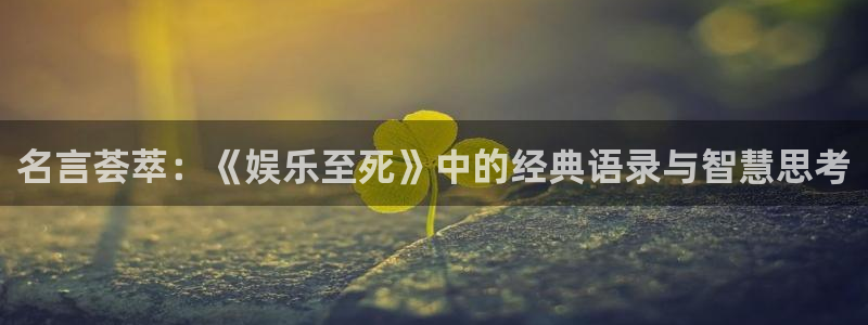 东莞市伟德国际1946电子科技有限公司