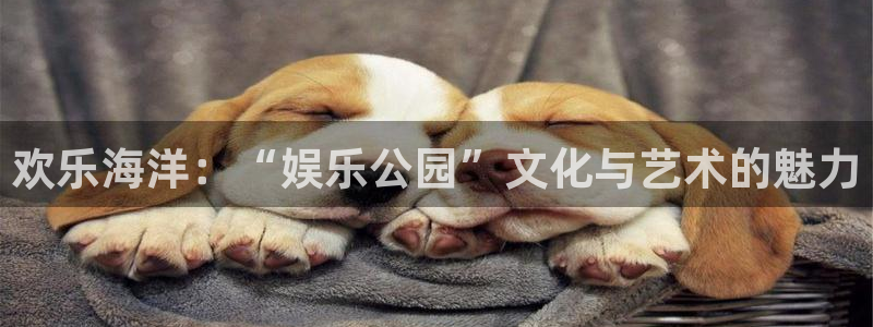 福建伟德国际1946机电股份公司