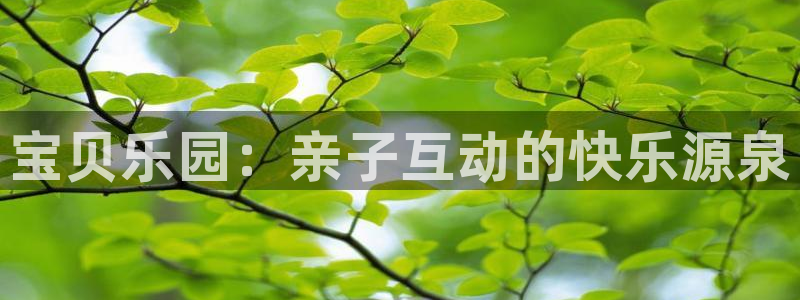 伟德国际19463：宝贝乐园：亲子互动的快乐源泉