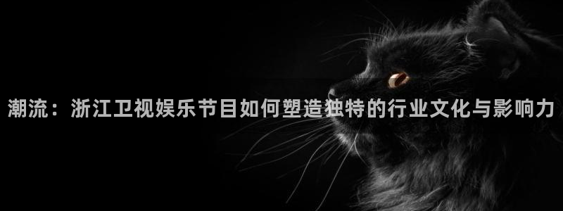 伟德国际1946体育游戏：潮流：浙江卫视娱乐节目如何塑造独特的行业文化与影响力