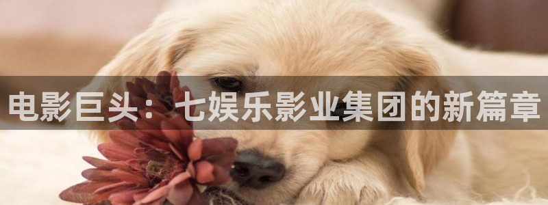 伟德国际1946体育网页版入口：电影巨头：七娱乐影业集团的新篇章